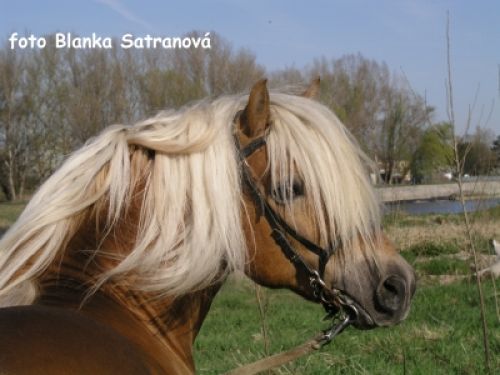žZžZžZž.jpg