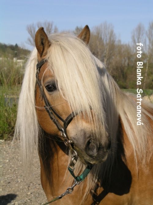 žZžZž.jpg